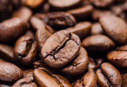 Arabica Coffee & Robusta Coffee - What's the Difference?